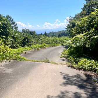 駐車場までロードを走ります
