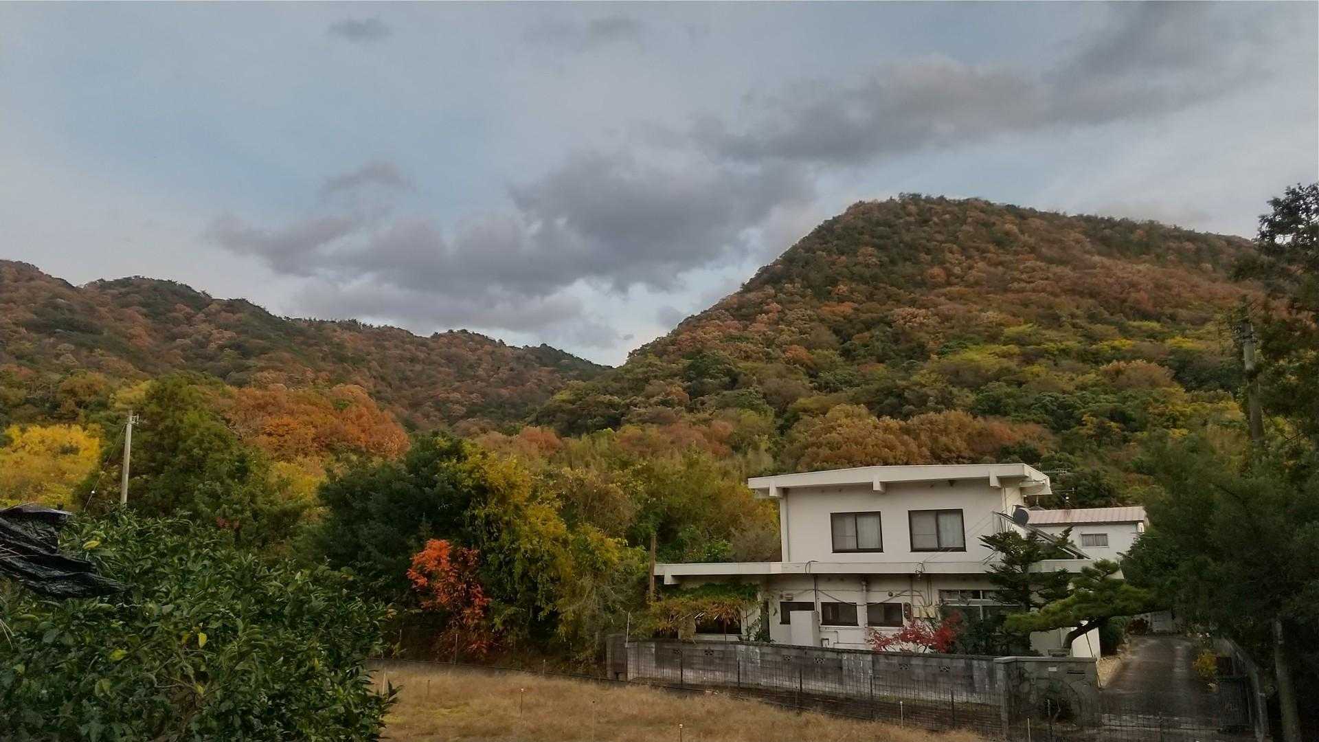他、大勢の方は歩いて来た山並みを眺めながら名部戸登山口へ戻り