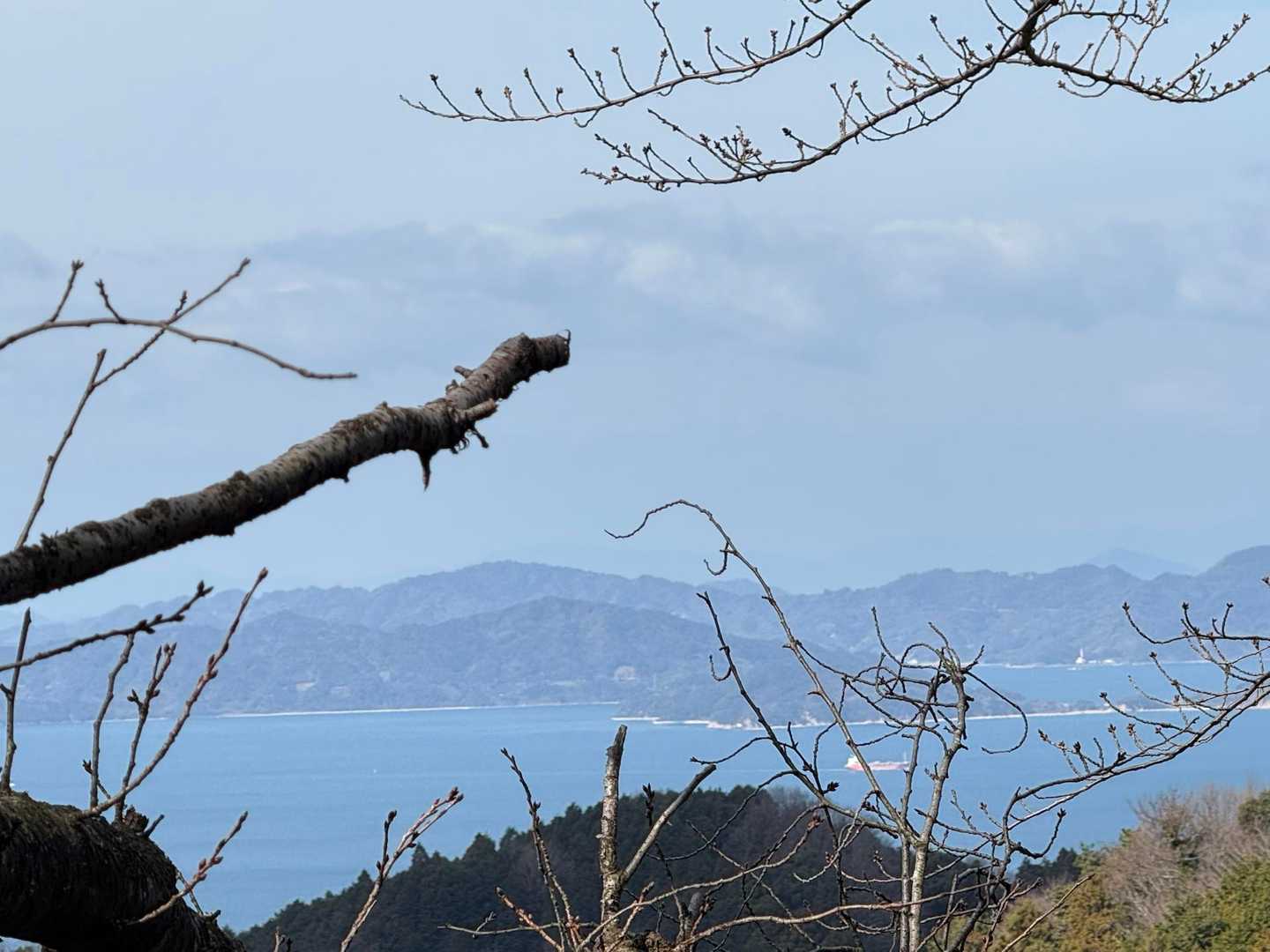 高縄山 往復コースの写真