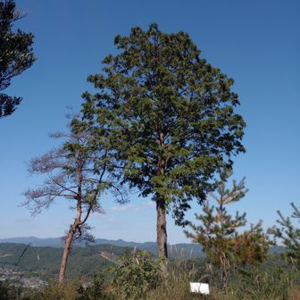 長居したいけど柏木山まで我慢。
