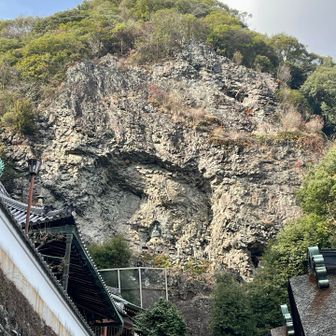 デカいスズメバチ🐝の巣発見💡