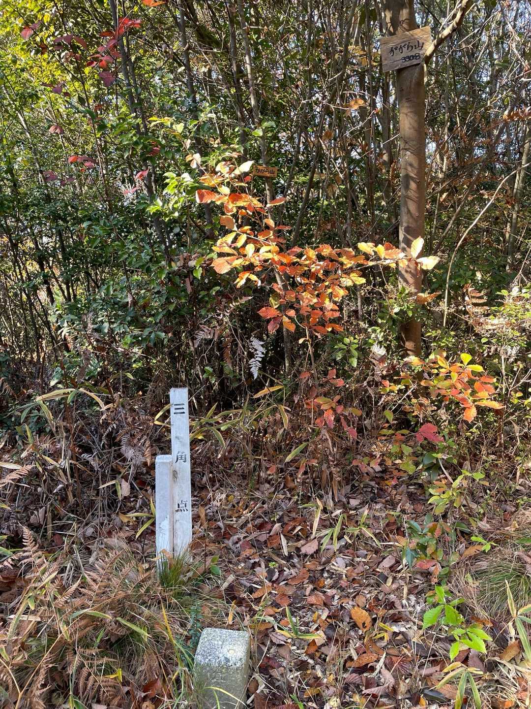 ががら山登頂。