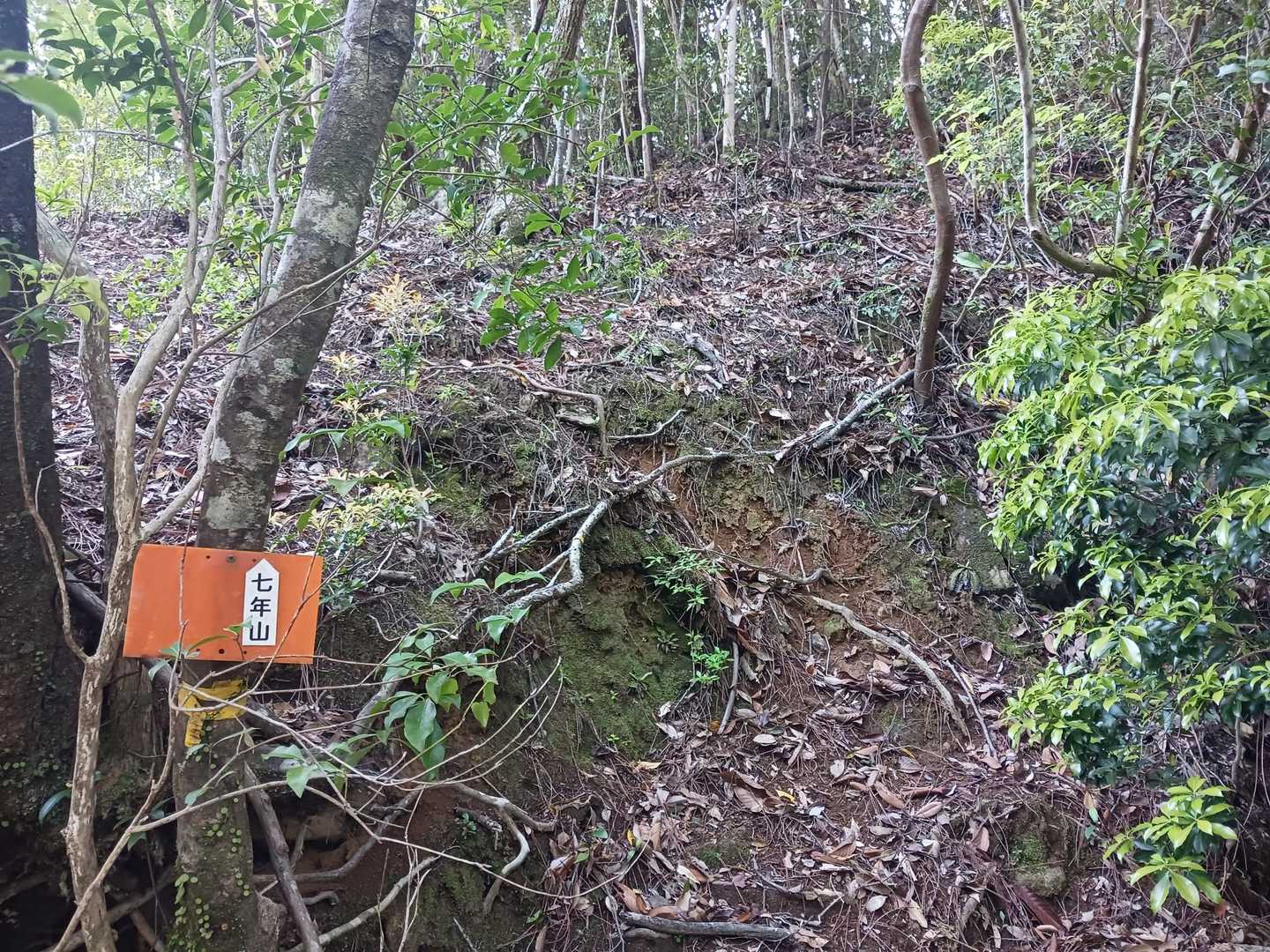 取り付き点にはオレンジプレートあり☝
今日も睡眠時間が4時間弱しか取れてないけどアドレナリン全開なので頑張れそう😁