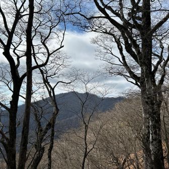 中ノ丸〜城ケ尾山より菰釣山