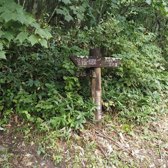 いざ地蔵岳へ