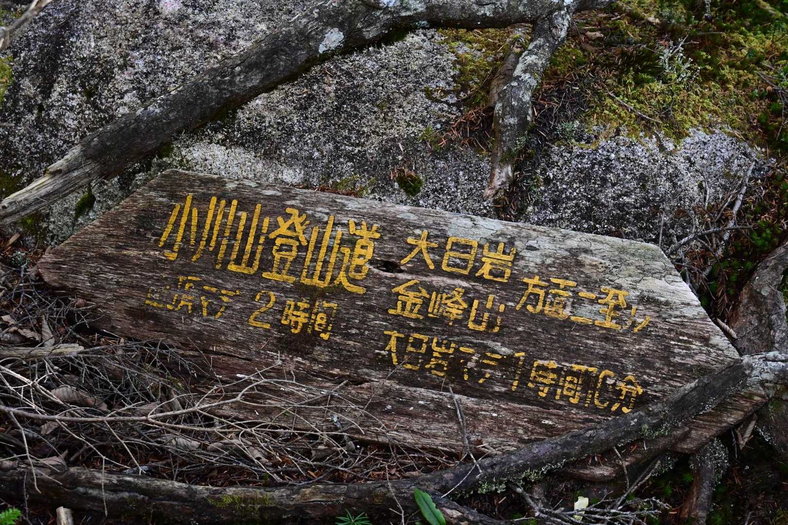 八丁平-小川山 往復コースの写真