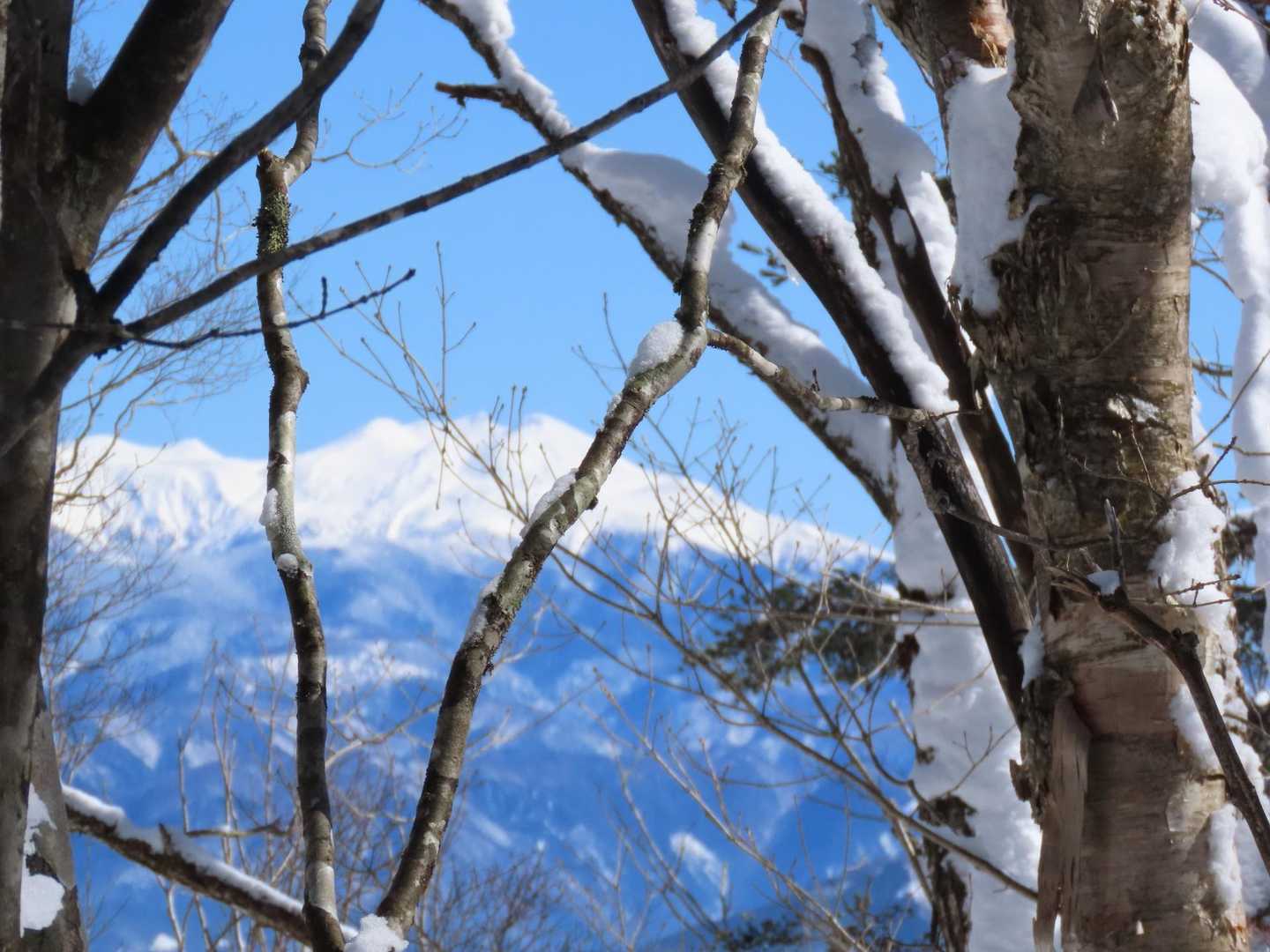 位山-川上岳 周回コースの写真
