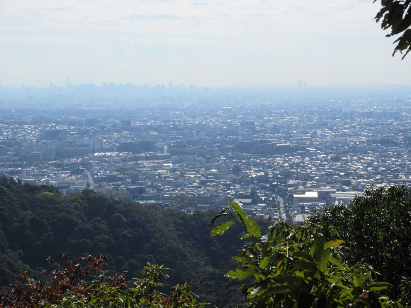 瀧安寺-石子詰登山口-箕面山 往復コースの写真