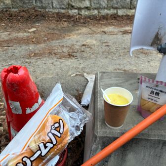 本日は時間ないので
かんたんごはん

クリームパンは食えなかったが
お湯を持って来たので
コンポタスープと白桃を食う
白桃のオリゴ糖が効いたのか元気になる

ありがとうオリゴ糖！
広辞苑 中耳炎
普段着 エリンギ
豚汁 ブラジル
ヒュイゴーカモン
やばい
ジョイマンが止まらない
で
復活