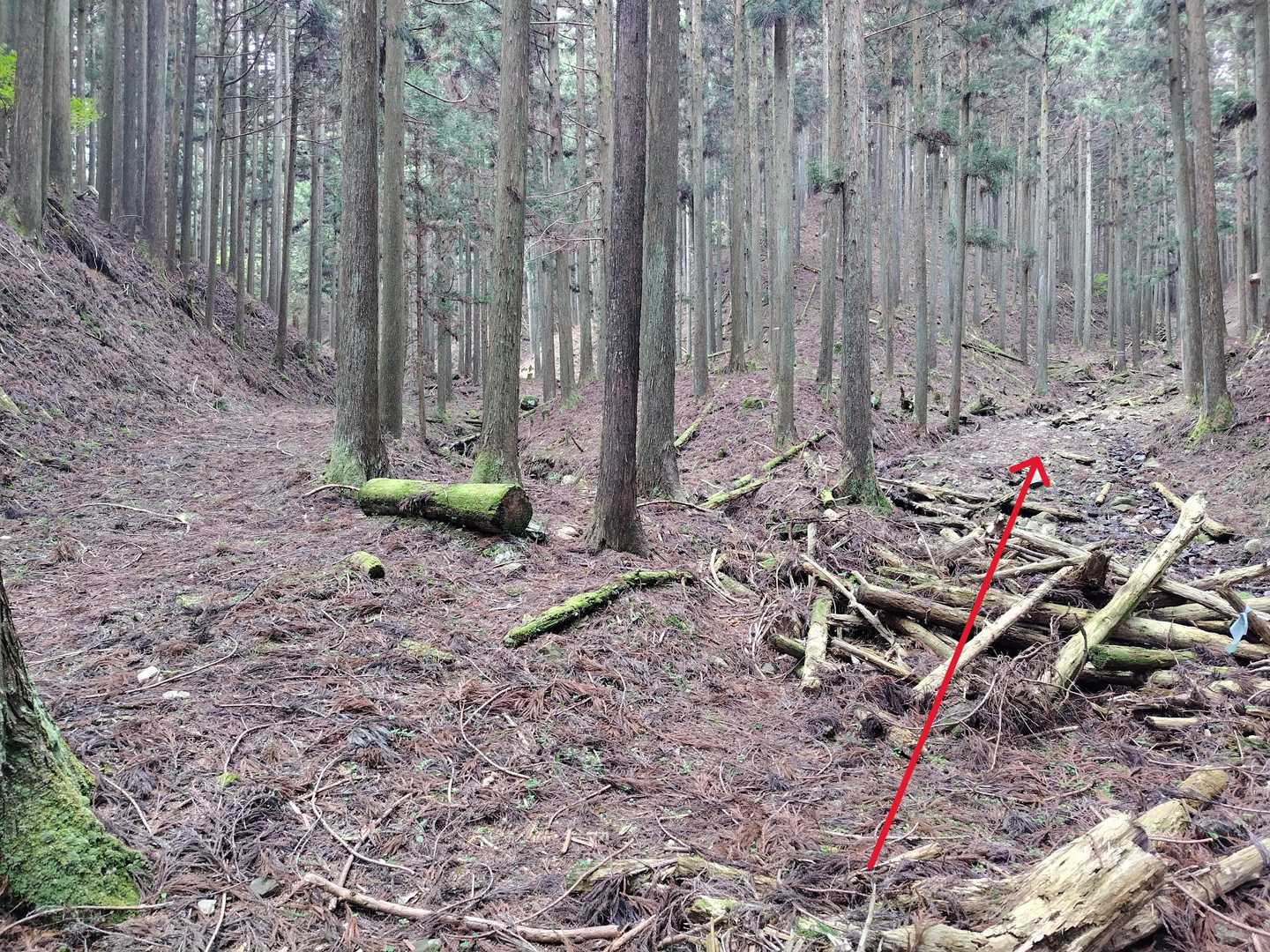 ここはキレイな左の道じゃなくて、右です⚠