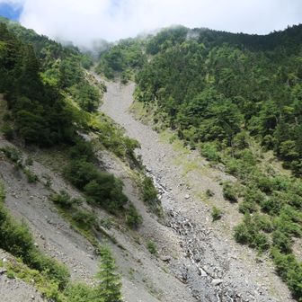沢のはじまり