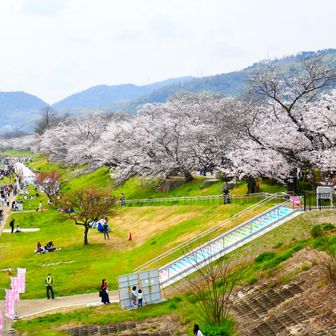 プッチンプリンより小さな入れ物で600円也！