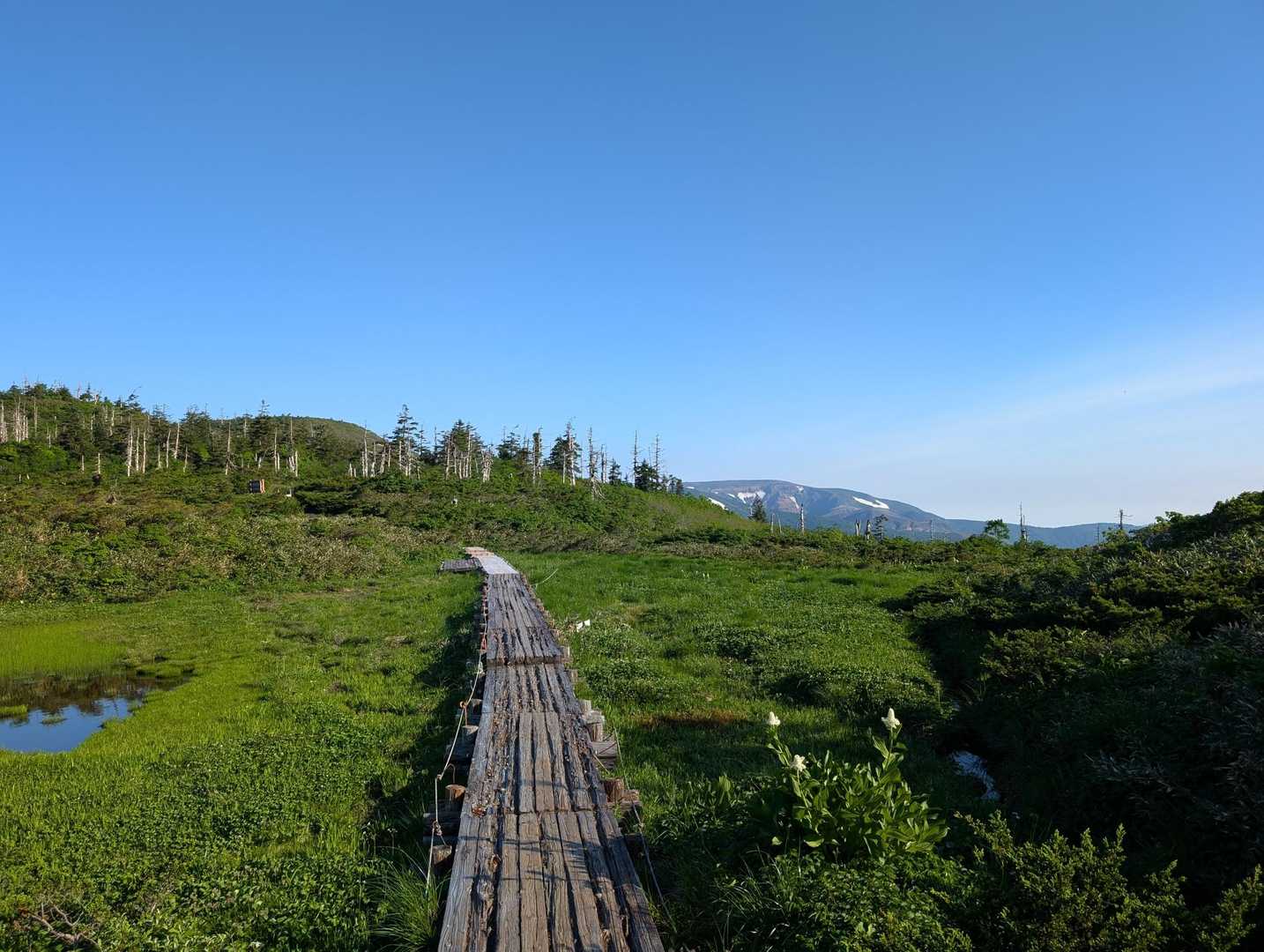 振り返ると綺麗な景色