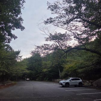 今日は一番乗り🫡