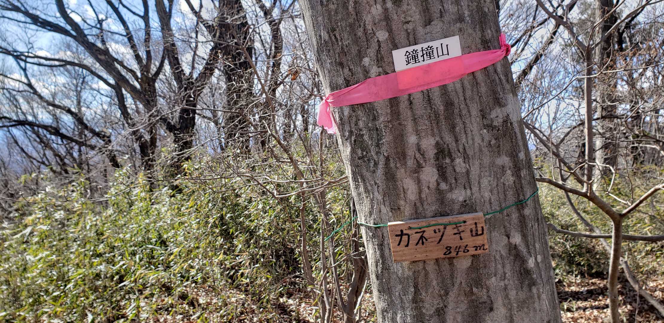 小さな山名板　山頂は笹藪です～