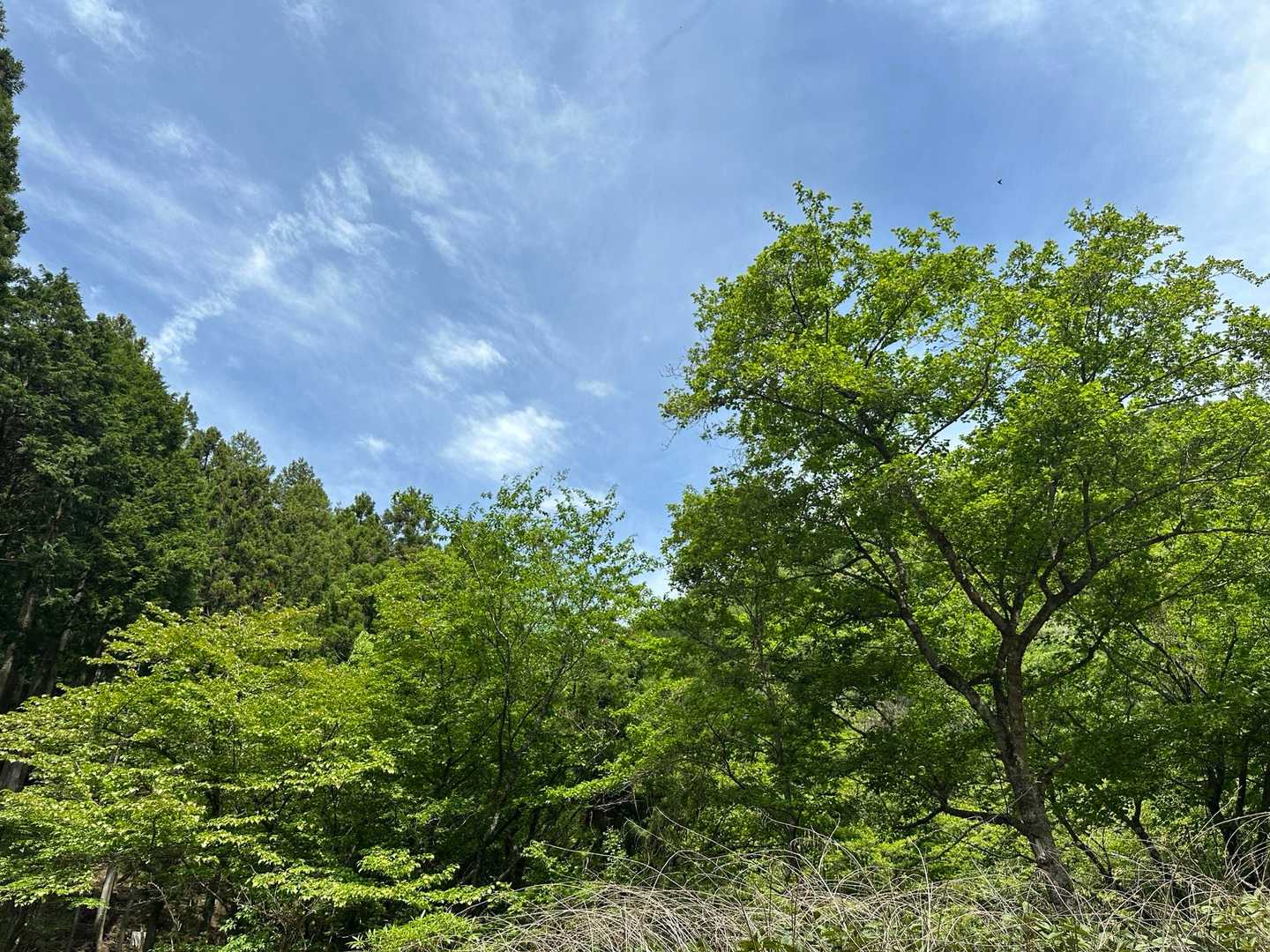 大滝橋バス停からスタート。今日も青空✨