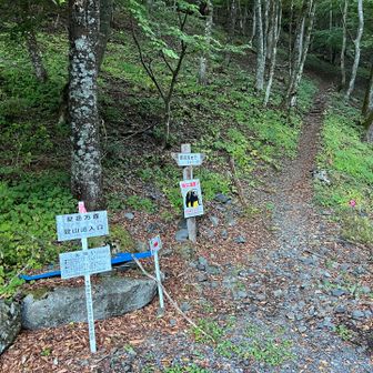 やっと登山口