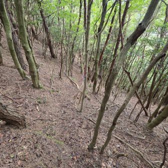 上部はテープ多数