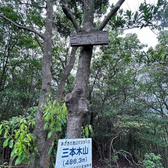 三本木山　486.3m