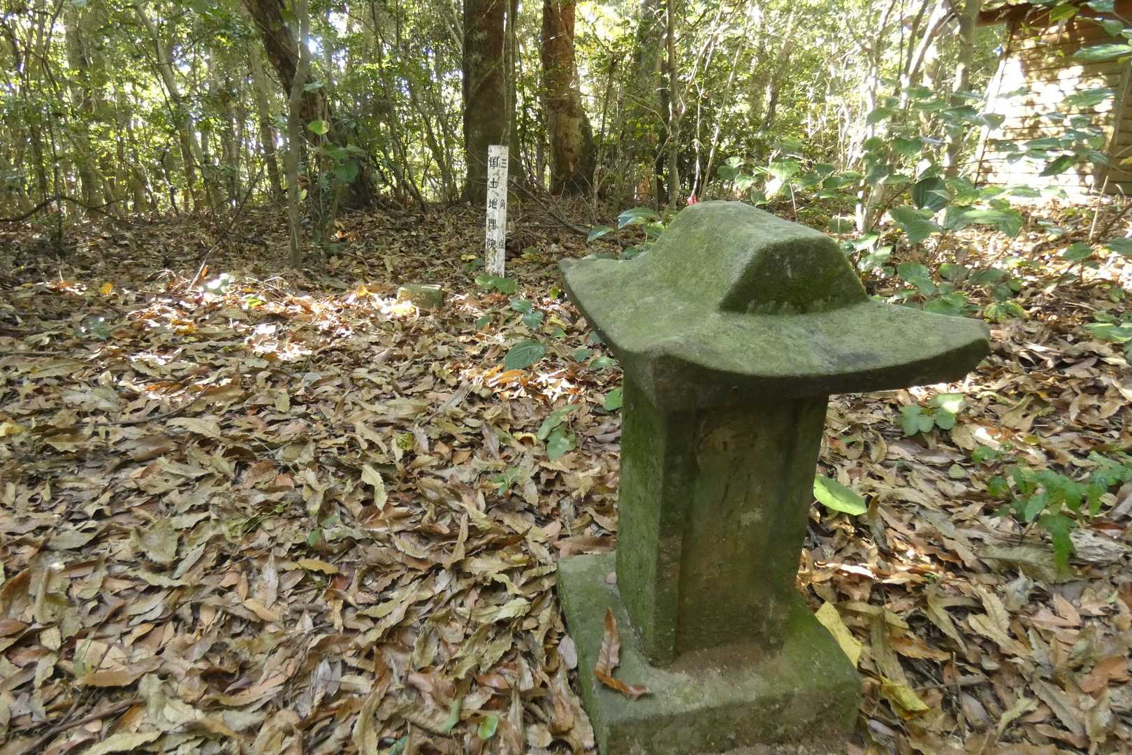 裏手に回ると三角点発見💃