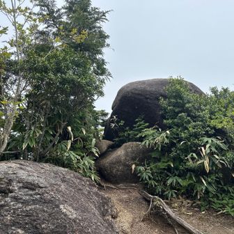 先に到着した摩利支天