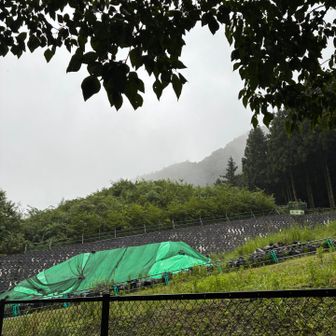 朝には雨が上がる予報でしたが、まだ降ってました。