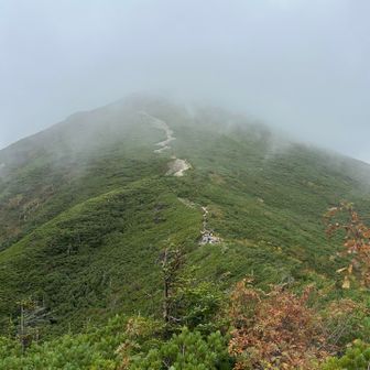 独標へは無理と判断して撤退