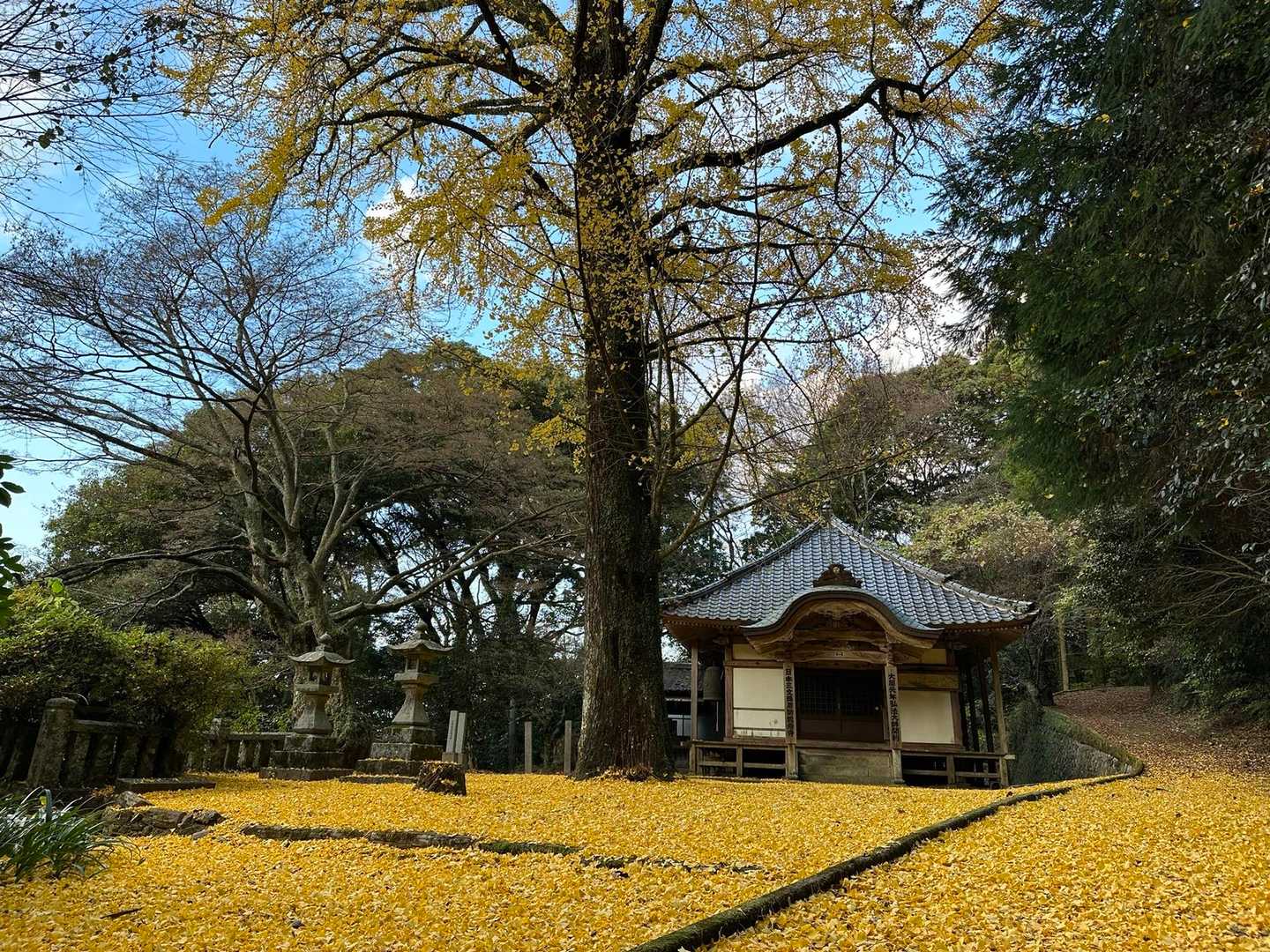 横でもパシャリ！