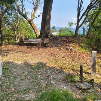 勝手桜🌸とその奥が、天女が出てきた袖振山。ヤマップのピークではありません😆