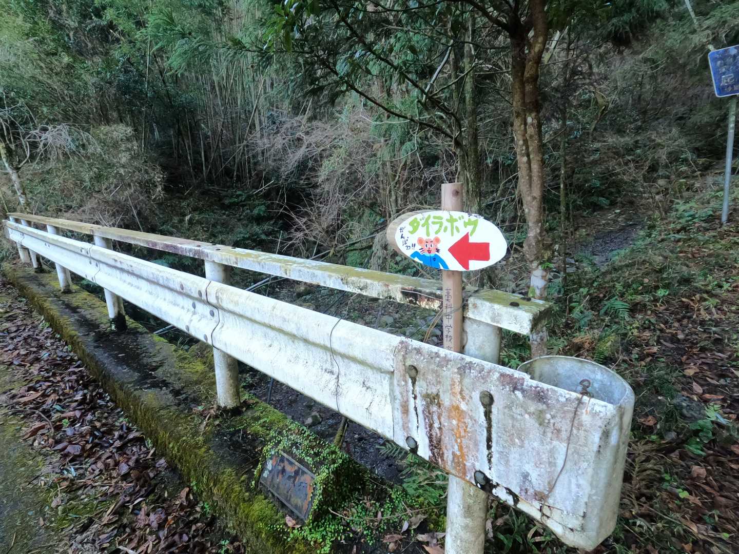 本日はお手軽ダイラボウへ
今回は登山レポではありませんよ～