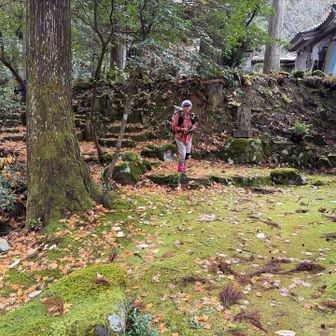 吉峰寺
苔が綺麗です。