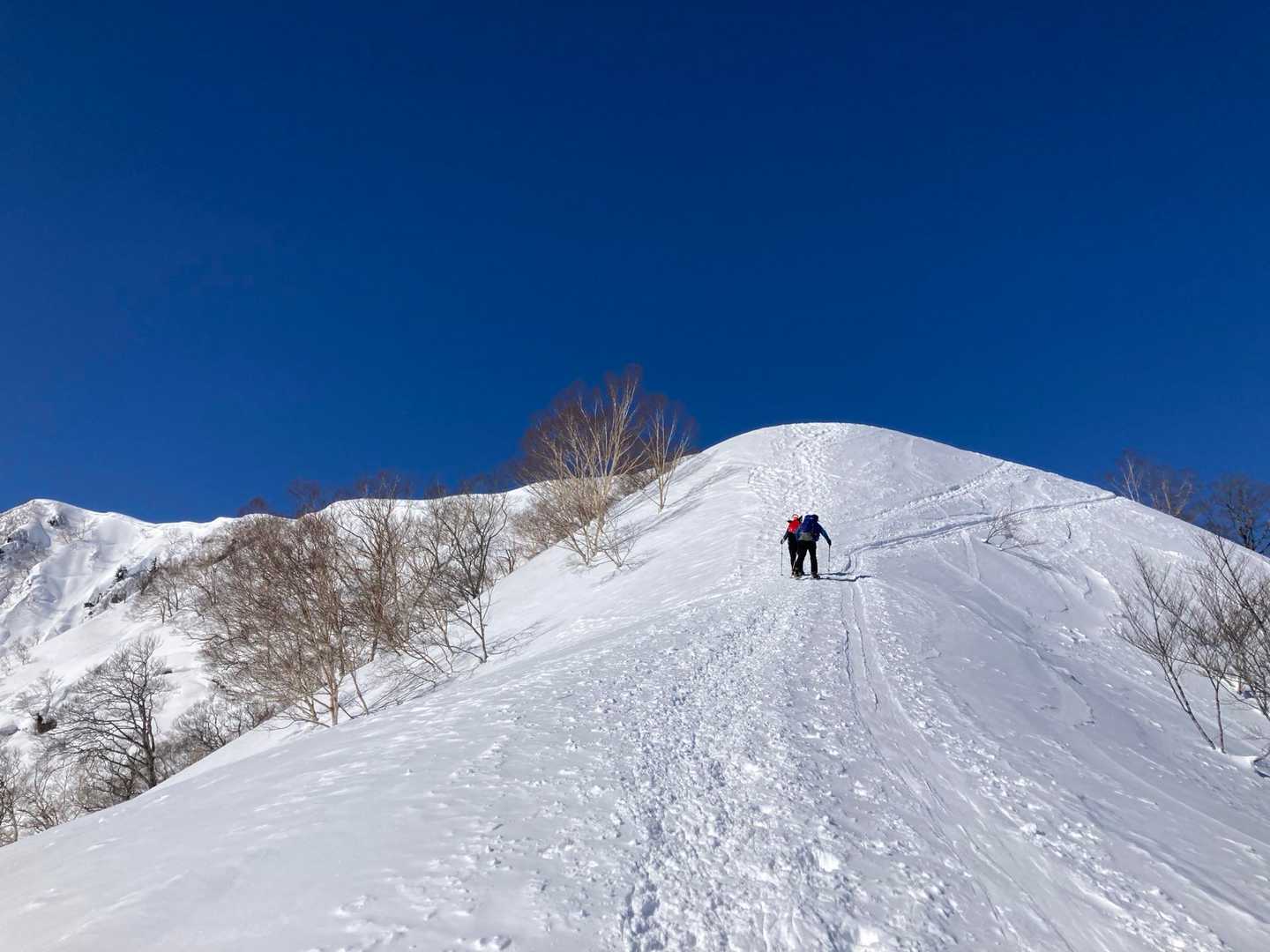 この辺りはもうズボラない
あのピークは一ノ背髪かな