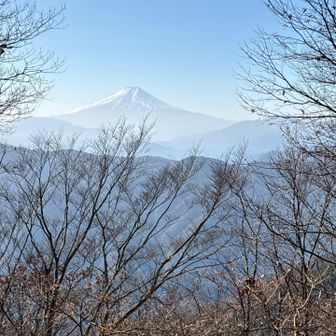 蜂指沢ノ頭の富士山の眺望