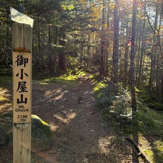 おこやさん？眺めはなし
