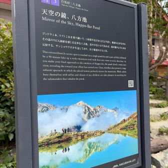 ほんとはこの景色が見たかった