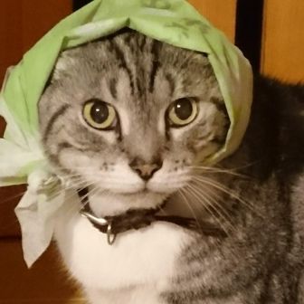 白影 (森のくまさん)