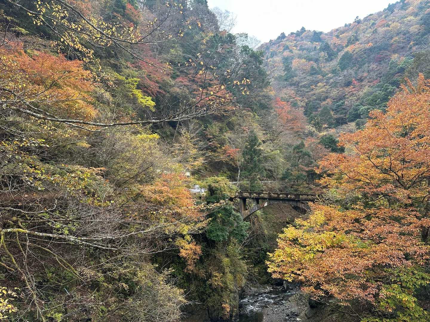 古くて素敵な橋