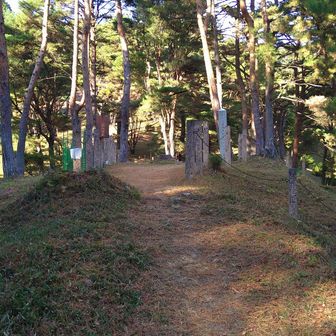 うつくし松見物の道はこんな感じ