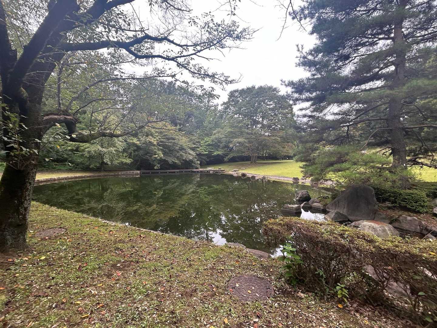 諏訪ヶ岳-古道五差路 縦走コースの写真