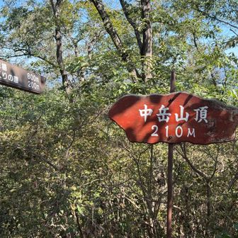 まずは中岳山頂に着きましたー🙌🏻

登りはいいのよ、登りは😅