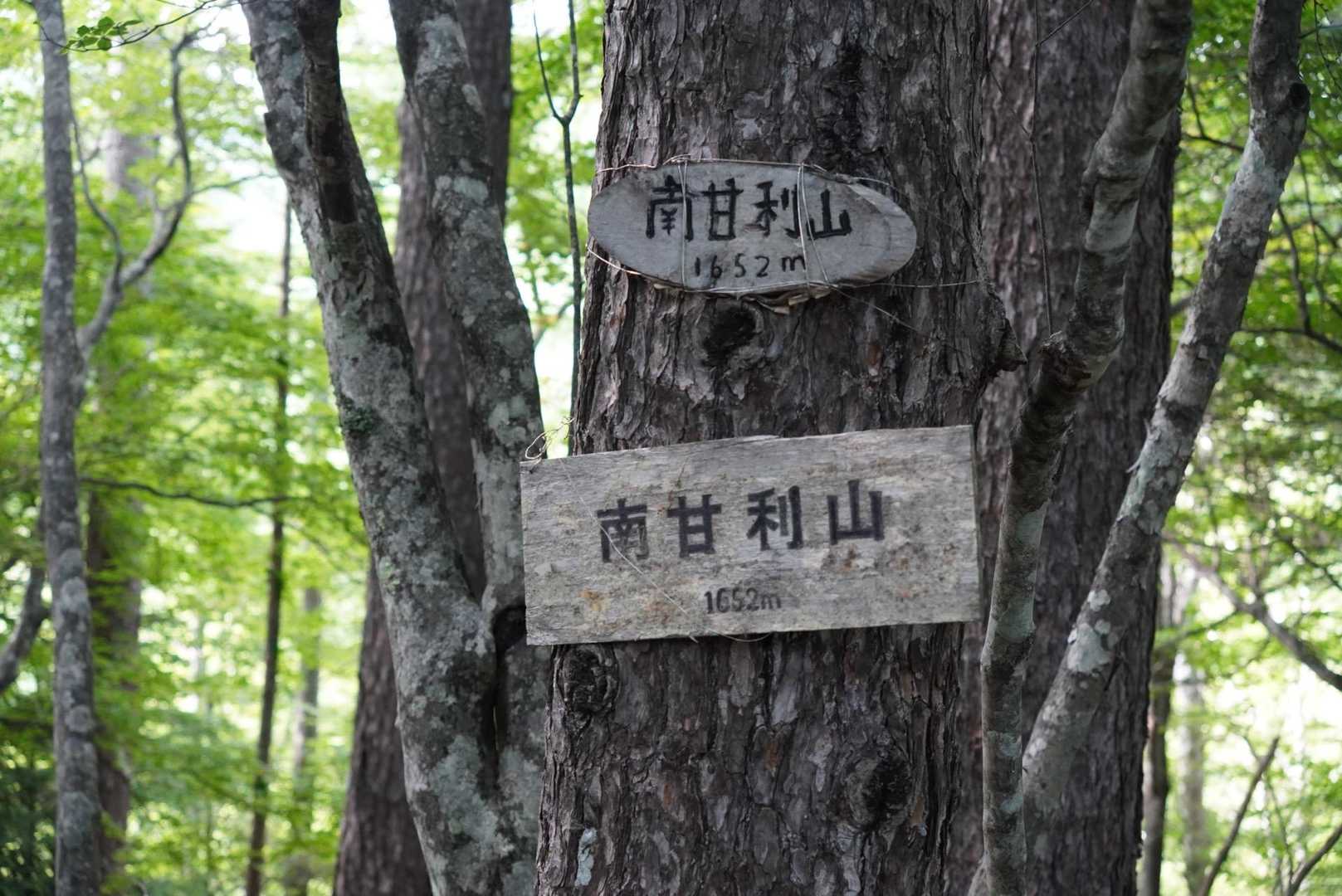 南甘利山も取って降りまーす。