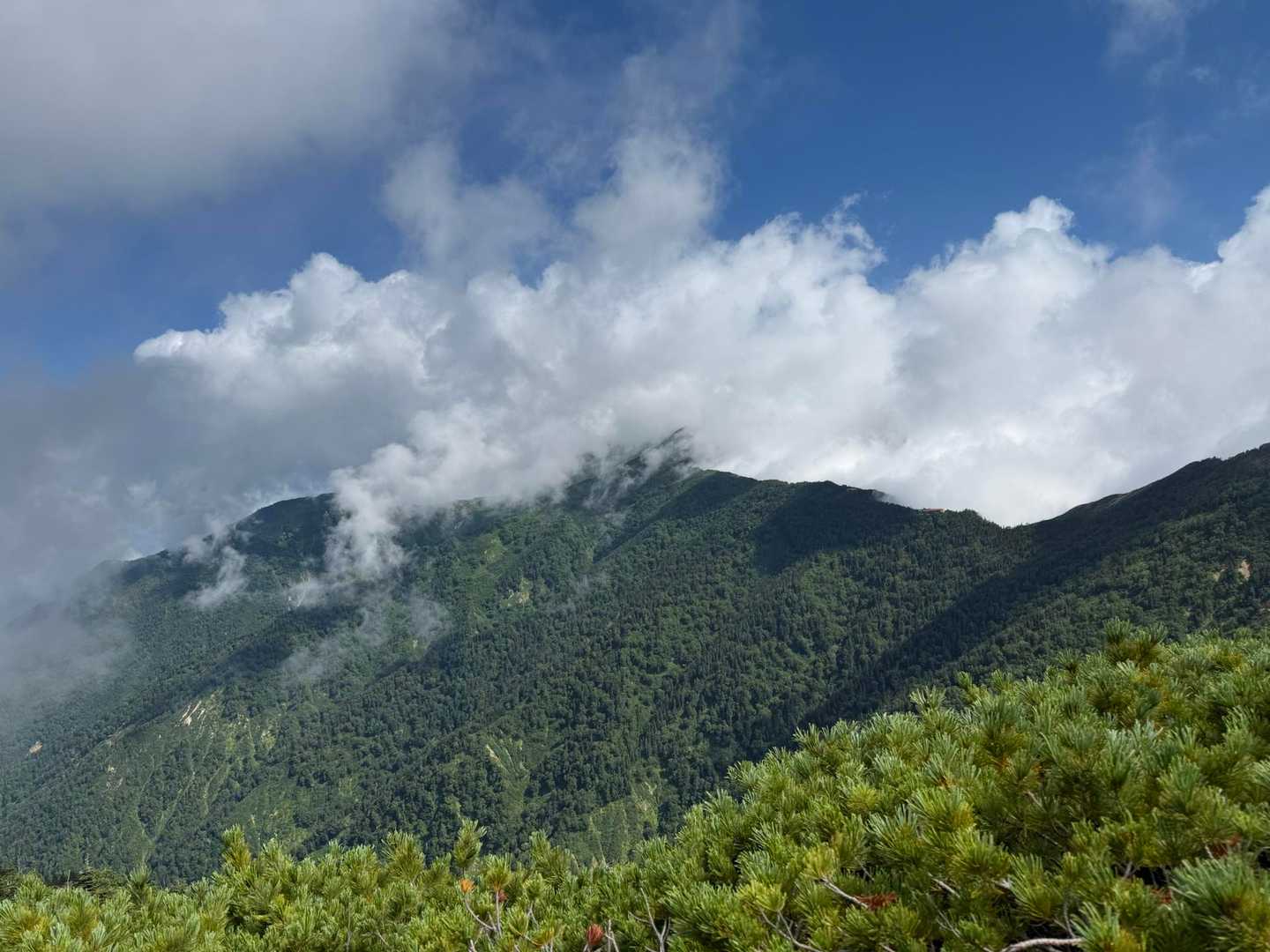 爺ヶ岳往復 | 柏原新道から稜線へ、剱岳と鹿島槍を一度に望む三峰の山の写真