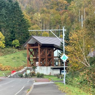 Ｃコースから下山して歩いて駐車場に戻りました〜