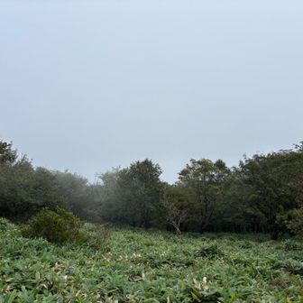 上は真っ白