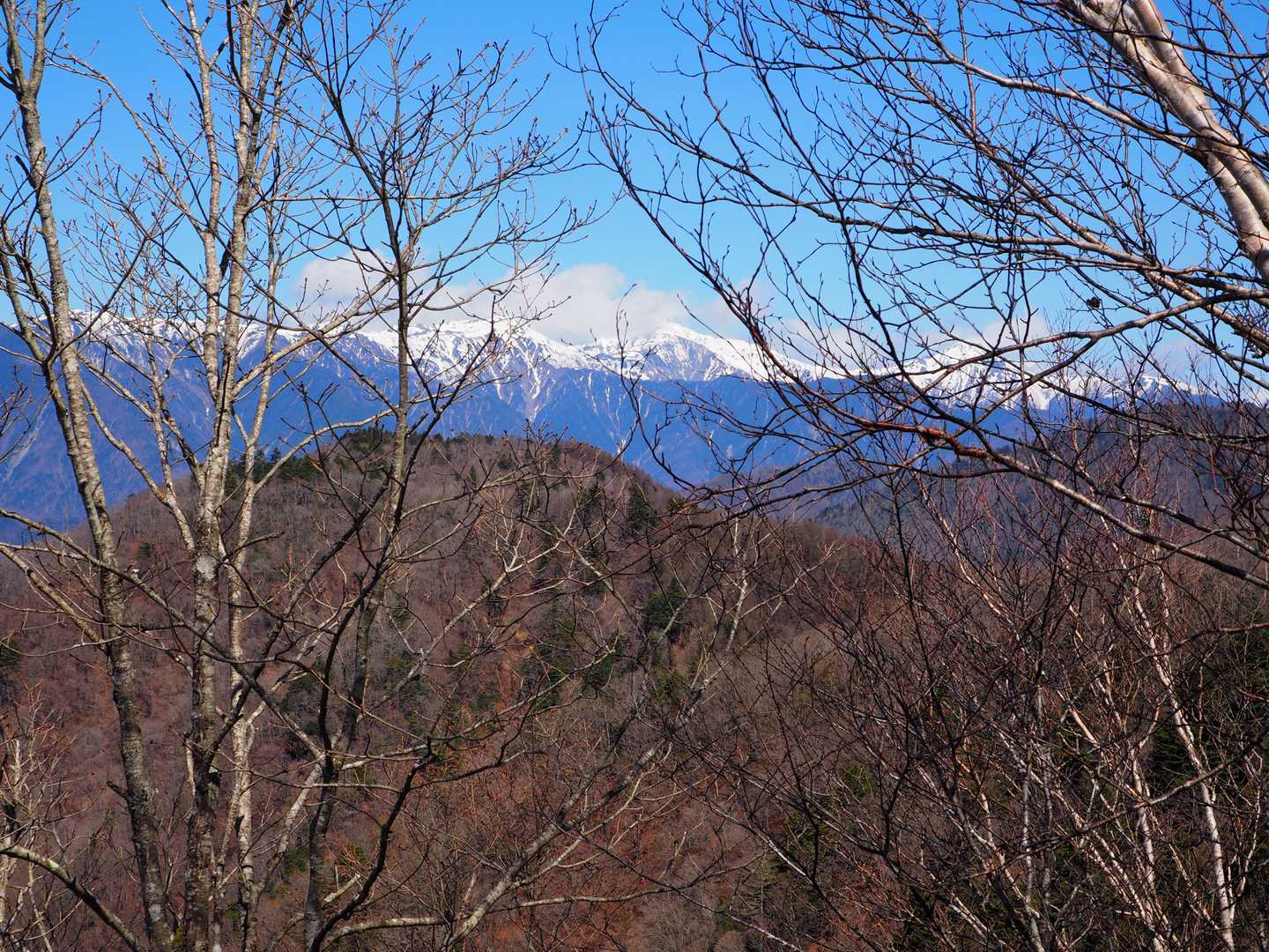 白峰三山