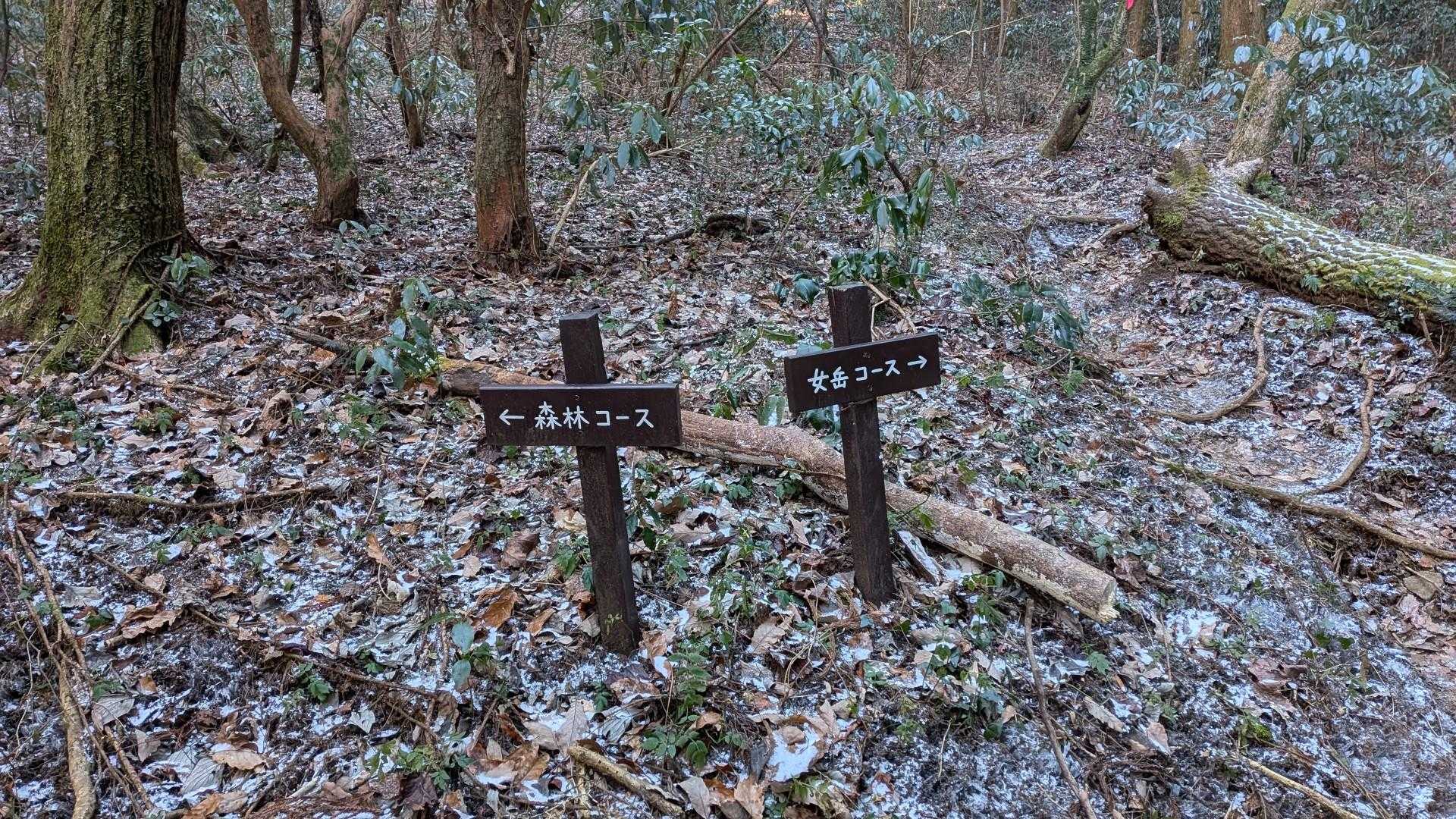 今回は私の提案に皆が乗ってくれたので、北尾根コースを案内することになった。

女岳分岐は森林コースの左へ