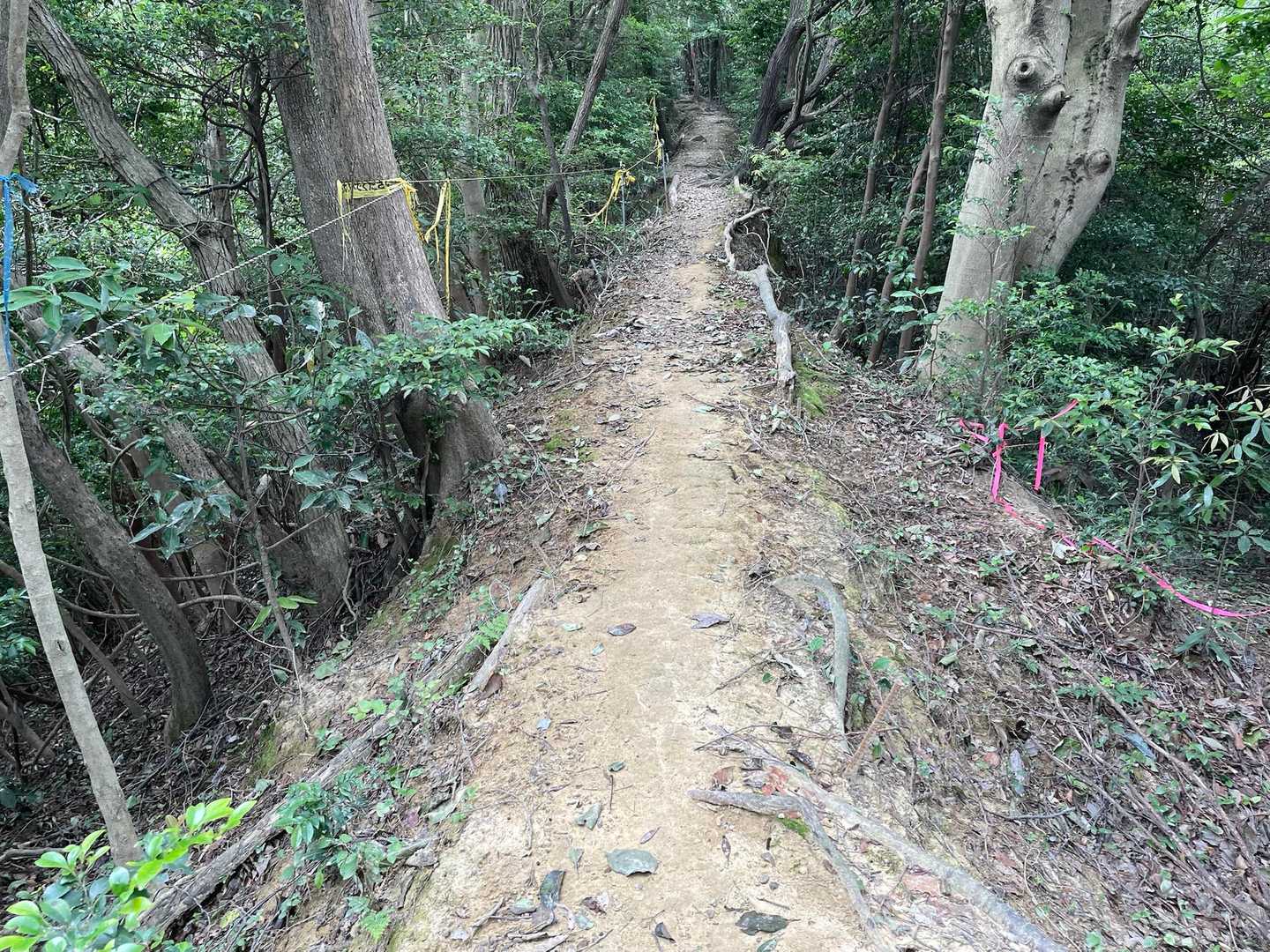 馬の背⛰️
