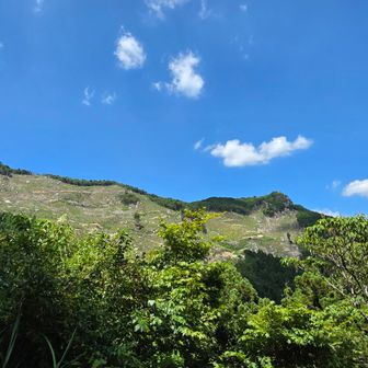 伐採…
黒滝峰の岩場が露出してる