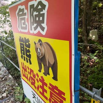 熊注意⚠️