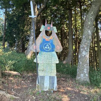 武将　家紋がわからないです